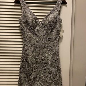 Elegant Silver Embellished Dress NWT